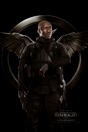 hunger games mockingjay afiche 5