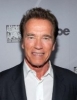 Arnold