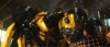 bumblebee