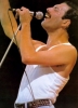 freddie