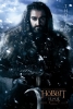 hobbit afiche 6