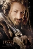 hobbit afiche 8