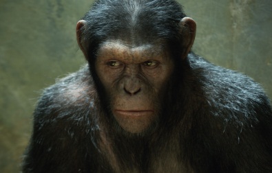 rise of the planet of the apes still 